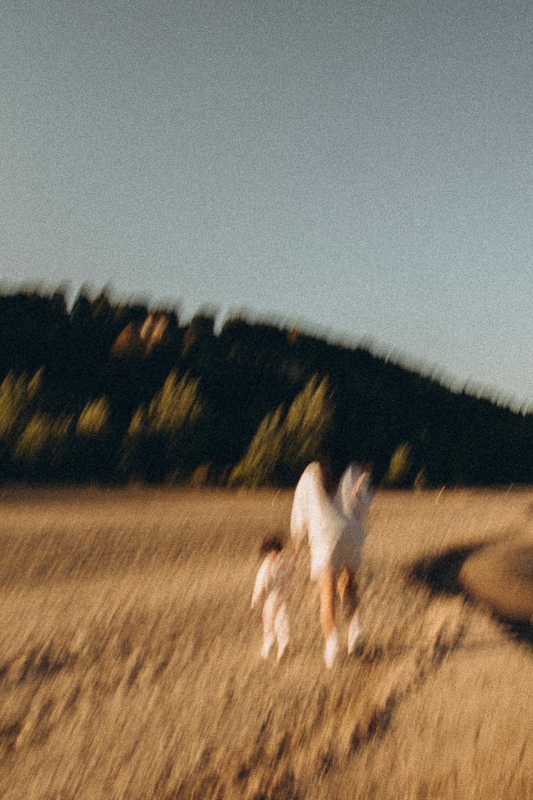 intro-image